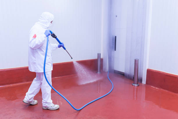 Best Sign and Awning Cleaning  in Des Moines, WA