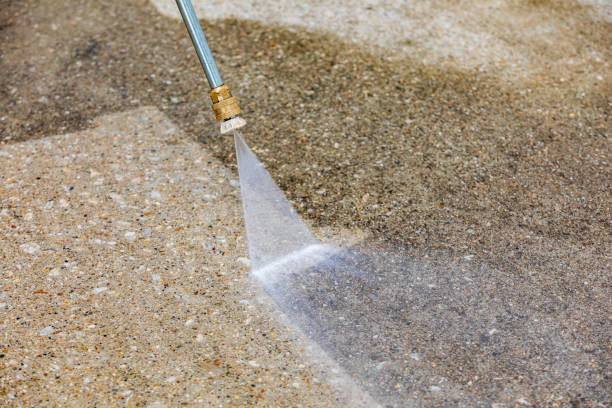 Animal Enclosure Cleaning in Des Moines, WA