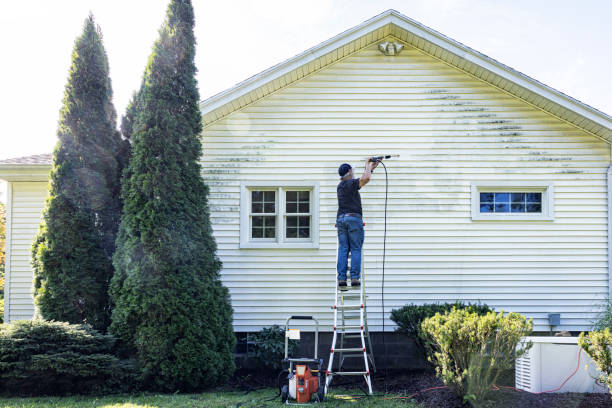 Best Sidewalk and Walkway Cleaning  in Des Moines, WA